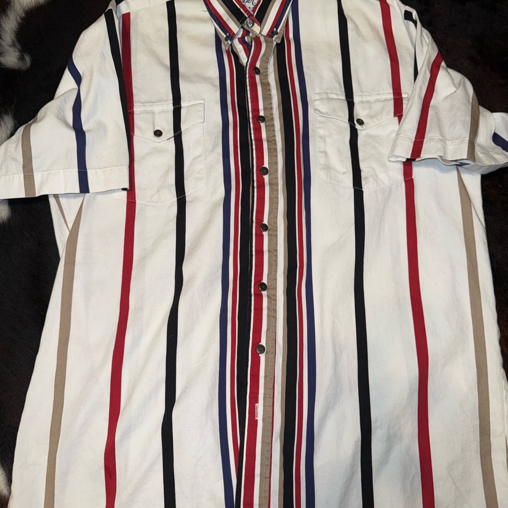 Roper Men's Multicolor Striped Button-Down Shirt